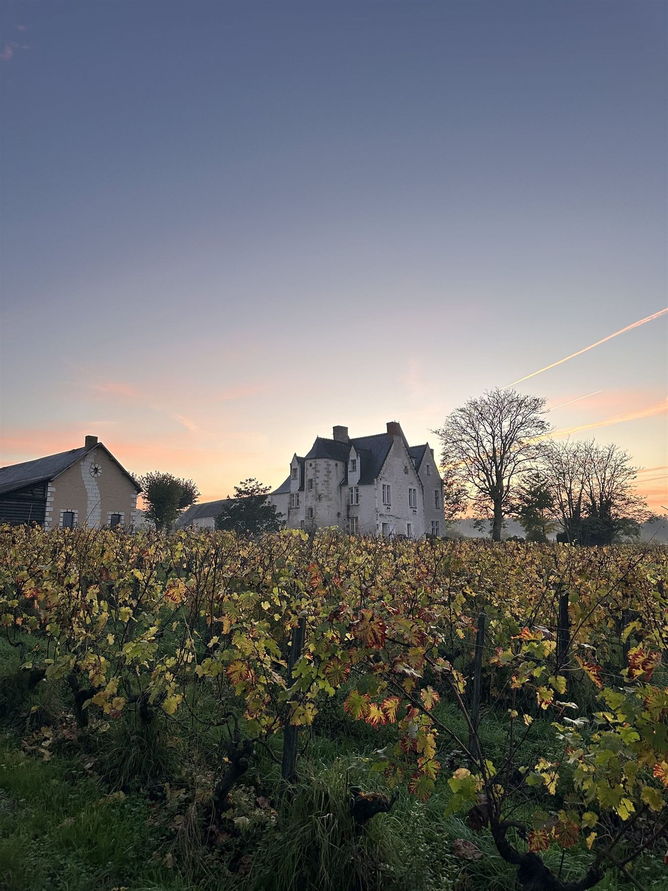 Le Château La Roche au coucher du soleil