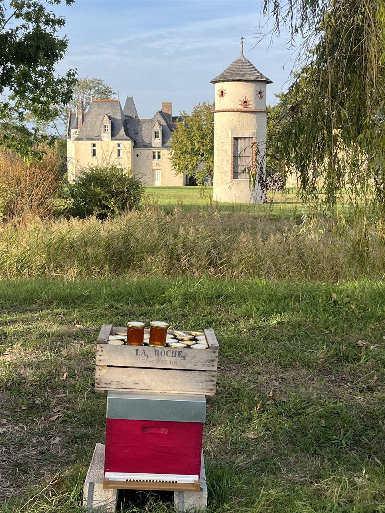 Les ruches du domaine devant le château