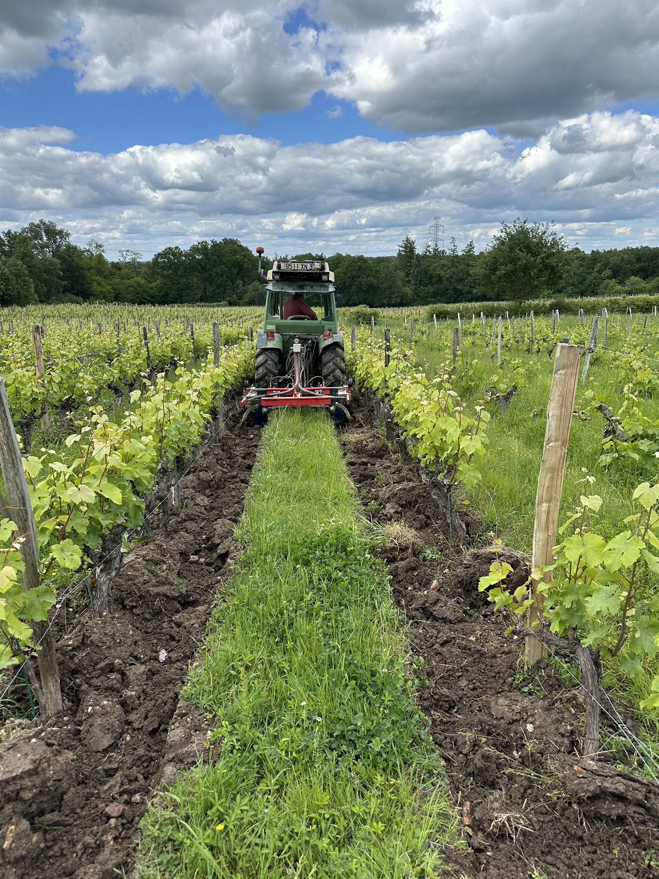 Travail du sol au tracteur dans les vignes